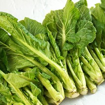 [여수농협] 돌산갓 여수돌산갓 돌산생갓 햇갓 1kg, 1개