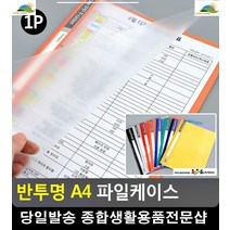 엑셀서류 간편정리 컬러풀 반투명 케이스 문구류 사무용품점 클리어파일 팬시용품