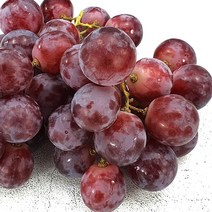 레드글로브 칠레산 수입포도 1kg 거봉포도 적포도