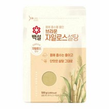 CJ 식자재 단짠단짠 백설 브라운 자일로스 설탕 500G 요리레시피 2개, 20세트
