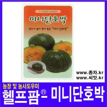 헬프팜 율촌 미니단호박 10립 종자 씨앗 동원농산종묘