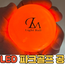 웰플레이 LED 파크골프공 파크골프 야광공 형광 파크볼 파크공 야간 파크볼 야광, 오렌지