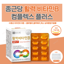 날송건강 종근당 비타민B 비군 B군 b1 b2 b6 b12 컴플렉스 영양제 알약 케이스 증정, 60정