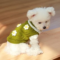 강아지 옷 니트 레이스 공주 고양이 애견 드레스 봄 올인원 반려동물 가을 예쁜 의류 원피스, 꽃송이 스웨터-그린