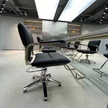 헤어샵의자 미용실의자 메이크업 바버샵 네일샵 체어, 공식 표준, 스타일 원 블랙 5핀 섀시 더블 폴 풋