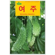 박류 씨앗 택1 블랙밤단호박/대박/맷돌호박/수세미/애호박/여주/오이/조롱박/청옥풋호박 텃밭, 51번 여주 10립, 1개