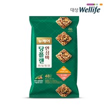 뉴케어 당플랜 안심바 한입영양 저당간식 1봉, 10g x 48개입