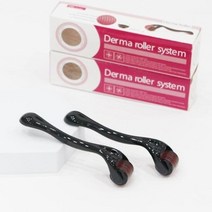 더마롤러 mts 홈케어 모공스탬프 스킨케어 스테인레스, MTS더마롤러(일반)-2mm
