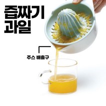 EPI 노상 업소용 착즙기 미니 오렌지 착즙기 소형 착즙기