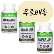 파라다이스허브 바나바잎 추출물 250mg 60개입 3세트 바나나잎 [미국 직배송], 3개, 60정, 60정