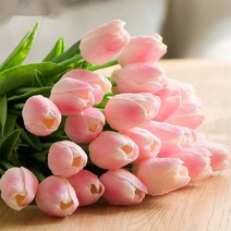 망고 튤립 노란튤립 조화 화동 바구니 꽃꽂이 재료 1P, 쿠팡 1망고튤립-화이트