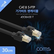 기가비트 랜케이블 Cat8 30cm LAN 랜선 인터넷 케이블, 1