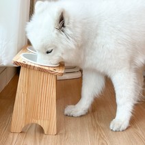 대형견 밥그릇 강아지 식탁 애견 고양이 수반 오일코팅 식기 2구, 대형견 오일코팅 식기 2구, 10cm