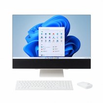 LG전자 24V70Q-GA70K (WIN11홈) 일체형PC + RAM 8GB 추가 (총16GB) + SSD 500GB 추가