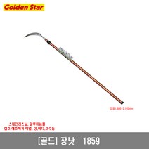 [골드]장낫 NO1859