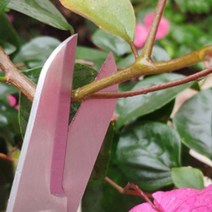 꽃꽂이 나뭇가지 줄기다듬는 원예조경 꽃가위 화분갈이