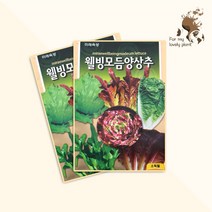 웰빙모듬양상추 1500립 미래종묘 잎채소류 씨앗