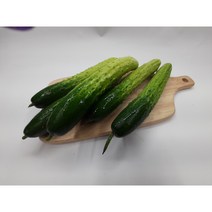 [특급] 백오이 30개 50개 오이지용 소박이용, 백오이30개