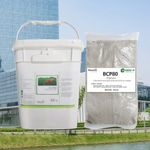 캐나다산 바이오네틱스 미생물 정화조관리제 250g 10팩 - 악취제거 분뇨 슬러지 70%이상양을 줄임 비용절감, 10개