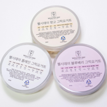 [웰시데이] 무설탕 과일 그릭요거트 스프레드 350g 550g, 망고그릭요거트 350g