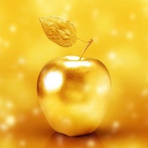 더라이트 DIY 보석십자수 황금 사과 풍수 재물 행운 액자형 전체비즈 221030475-D, 30*30cm(액자포함), 황금사과-D