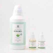 없음 파워 비타민 바디워시 DIY 묶음상품, 1개