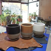 모던 테라스톤팟 투톤 원형 20x20cm 화분(받침포함), 골드 투톤