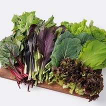 미미의 밥상 [미미의밥상] 당일수확 산지직송 유기농 제철 모듬 쌈채소 8종세트 1kg