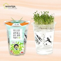 우리가스토리 미니화분키우기 꽃 화초 공기정화식물 새싹 허브 텃밭 화분, 1개, 한컵새싹농장_다채