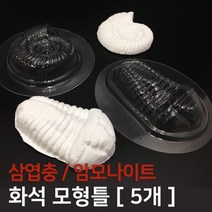 5P 암모나이트 삼엽충 화석 만들기 모형틀 관찰 실험실 고고학 퇴적물 지구과학 학습 방과후 초등과학, 1)암모나이트 5개