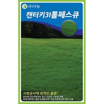 다-켄터키31톨훼스큐 20g 잔디씨 잔디종자 잔디씨앗