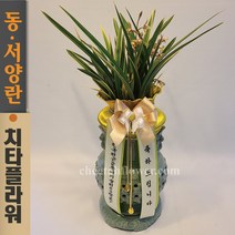 치타플라워 동양란 황금채홍 [CD06-003] 승진 개업 축하 난 동양난 영전 취임 생일 선물 화분 고급 란 전국 당일 배송 꽃배달