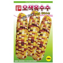 오색옥수수 씨앗 - 옥수수종자 채소종자, 1개