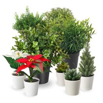 조화 인조나무 인테리어 카페 미니조화, 1개, 1.오레가노