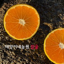 제주 감귤 5kg 10kg 하우스 노지 타이벡 비가림 밀감 가정용 선물용, 5kg 소과(2S)