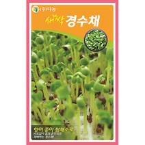 새싹경수채씨앗 12g KL, 단품없음
