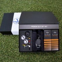 [주문제작]골프공 각인 프리미엄 골프용품 선물세트 부모님 친구 모임 SM-17, 00.디자인선택안함