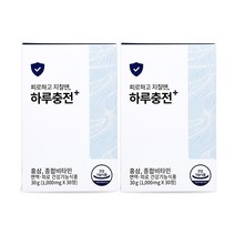 하루수면연구소 하루충전 면역력 피로 기능성 영양제 멀티비타민 홍삼 아연, [특가할인] 2개월분