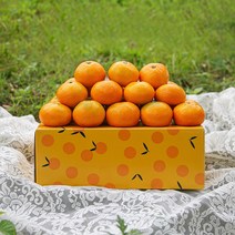 제주감귤, 5kg(2S), 1박스