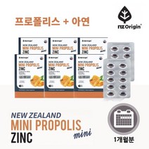 뉴질랜드 프로폴리스 아연 비타민E 플라보노이드 구내염 입천장 입안 헐었을때 피로 면역력 에 좋은 영양제, 6BOX(6개월분), 6개