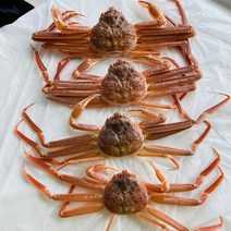 일품대게 소자 300-350g (1마리 기준)