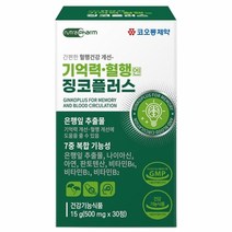 기억력 혈행엔 징코플러스 항산화징코 뇌건강영양제 기억력좋아지는영양제