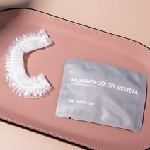 100개 호텔 모텔 게스트하우스 홈스테이 일회용 칫솔, 모란디 칫솔혼색 100세트(치약포함)