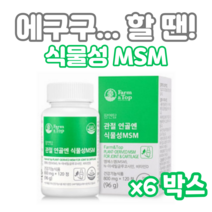 관절 연골엔 식물성 MSM 120정 하루두알 2개월분 엠에스엠 디메틸설폰 N아세틸글루코사민 비타민D 초록입홍합 보스웰리아 상어연골 생선콜라겐 해조칼슘 할머니 할아버지 부모님 등산, 6개