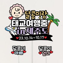 태교여행토퍼 셀프만삭촬영 여행 아기 태명 제주도여행토퍼, B흰테두리-비행기-왕자님