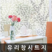 유리 창 시트지 샤워부스 필름 1m x 1m (T678)