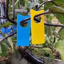 서후네 [50+50] 편리한 식물 걸이 라벨 트리 네임택 나무 이름표 태그, 2set-100p, 블루+옐로우