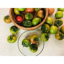 부산의 명물 짭짤이 토마토