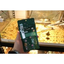 사키 히카리 터틀 45g ( 거북이사료 반수생 수생 )