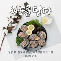 완도 직송 특대 전복 1kg(8미) - 최상급 품질 당일발송, 1개